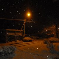 Первый снег. :: Ольга 