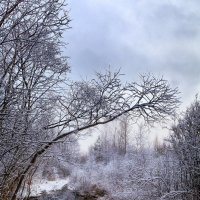 Уж скоро зима :: Роман Годовалов
