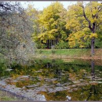 Осенний пруд :: vadim 