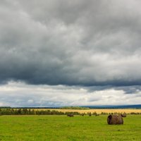 Простор :: Николай Андреев