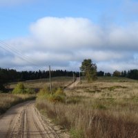 Октябрь, дорога :: Юрий Бондер