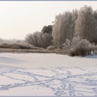 Неяркий зимний пейзаж :: Александр Хахалкин