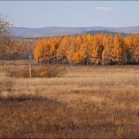 Осень в Забайкалье 2 :: Сергей Данила