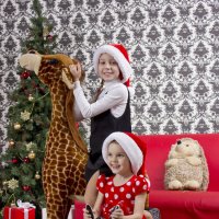 На жирафе и Ослике к Деду Морозу :: Светлана Мальцева
