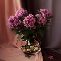 цветы :: Елена Новгородцева