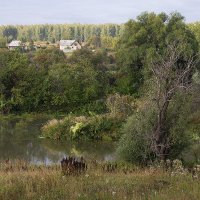 река Исеть :: Михаил Андреев