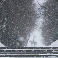 Снегопад :: Николай ntv