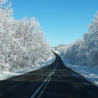 дорога в зимнюю сказку..... :: Евгений Палатов