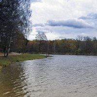 Шибаевский пруд.Вид от Кузьминского ПКиО :: Сергей Мягченков