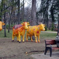 В ожидании лакомства :: Виолетта 