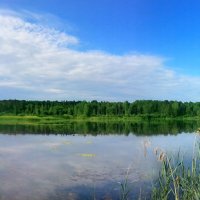 Карповое озеро :: Андрей Шейко