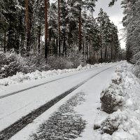 Дорога в лесу. :: Dmitry D