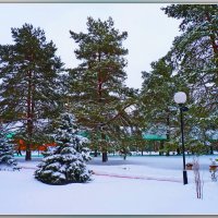 Зима в парке. :: Александр Лейкум