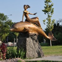 Девушка и дельфин :: Владимир Константинов