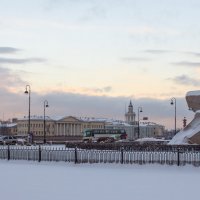 Медный всадник :: Ирина Соловейчик