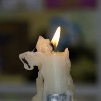 Ханукальная свеча :: Геннадий Зверев