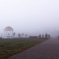 Утренний туман :: Николай Колонтай
