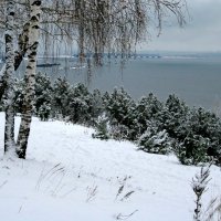 Первый снег в Винновской роще. :: Григорий Иванов