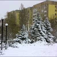 В городе снегопад. :: . Олег...