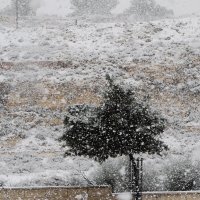 Сегодня в Иерусалиме снег :: Алла Шапошникова