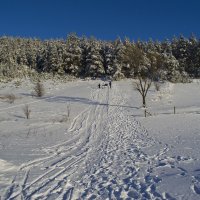 Санный спуск :: Владимир ЯЩУК