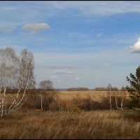 Осень... :: Сергей Данила