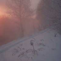 Сквозь туман :: Олег Самотохин