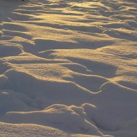 Снег :: Наталья Осипова(Копраненкова)