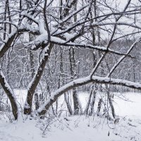 Winter in Moscow :: Keti B