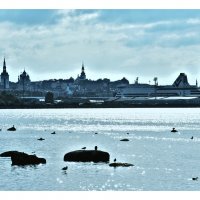 Таллин, вид на старый город с залива :: Вера Ульянова