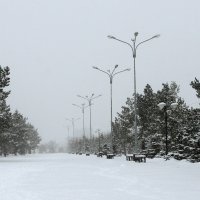 Зимним утром в парке (9) :: Марат Рысбеков