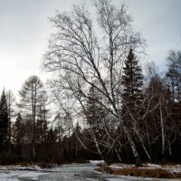 Поздняя осень на реке :: Ольга Антонюк