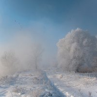 Полёты в морозном воздухе :: Олег Самотохин