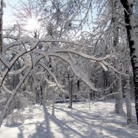 Зима в Одессе :: Elena 