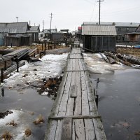 Заполярные "тротуары" :: Александр Бурилов