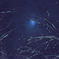 Зимняя ночь :: Ирина Богатырёва