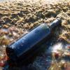 Бутылка с вином на морском берегу. :: Александр Малышев