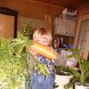 вовка с морковкой :: Аля Бирюза