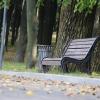 Скамейка в парке , начало осени :: Алексей Кузьмин