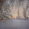 Зима в Краснодаре :: Tory Deeva