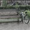 Дождь :: Андрей Мердишев