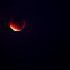Красная Луна :: fotograf3d Скащенков