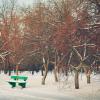 Зимний вечер в городском парке. :: Геннадий Комиссаров