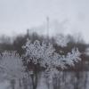 Зима за окном.. :: Викуся Самойлова