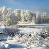 Волшебная зима :: Александр Алексеенко