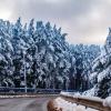 Дорога в зиму :: Aliaksandr Panchanka