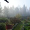 Туман, туман седая пелена.... :: Владимир Никольский (vla 8137)