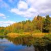 Осень на пруду :: Андрей Снегерёв