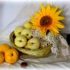 Солнечные фрукты. :: nadyasilyuk Вознюк