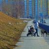 Апрель...Этюд  с собакой и мамой с коляской! :: Владимир 
